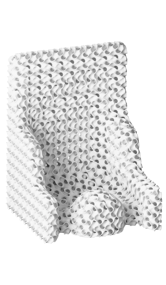 Seats & Cushions — 3D printed orthopedic device